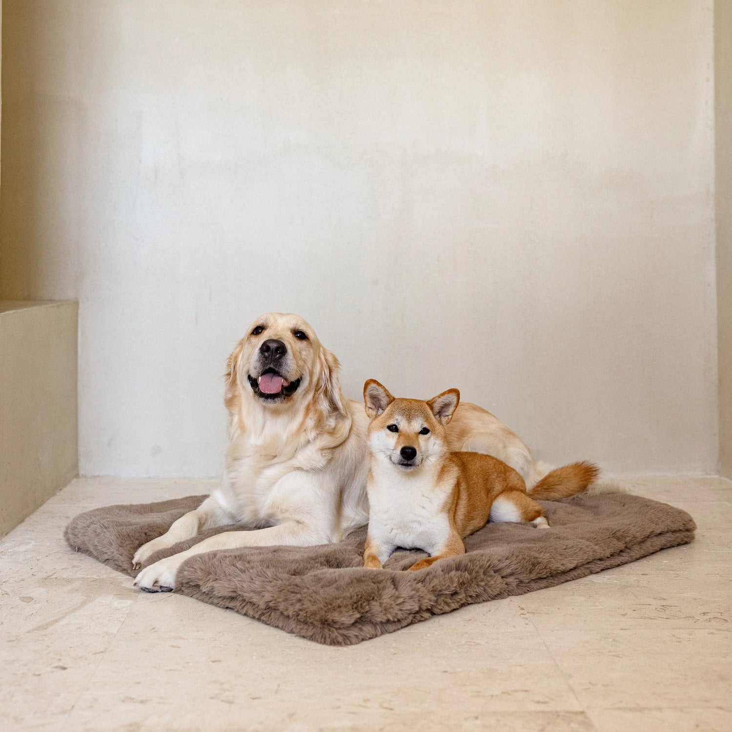 Pet Beds And Blankets