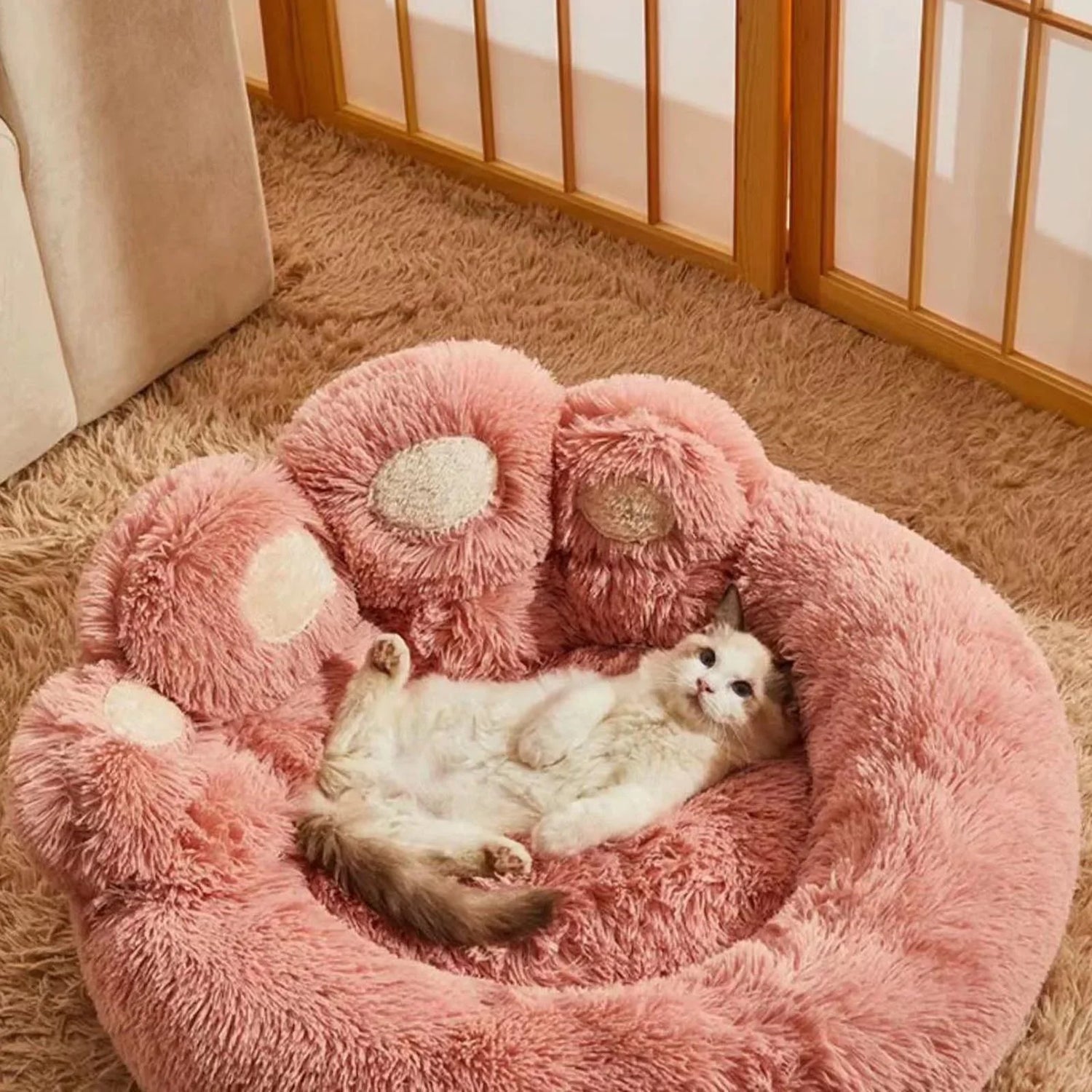 Cat Beds